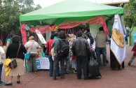 Conmemoración Día Internacional del Medio Ambiente en Guatemala