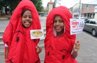 Republica Dominicana Apoya la 5 Maratón Internacional de donación de sangre