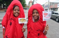 Dominican Republic supports the 5th International Blood Drive Marathon