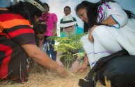 Historic meeting with the Children of Mother Earth in Venezuela 