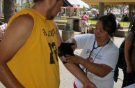 Guatemala admirably concludes the 5th International Blood Drive Marathon