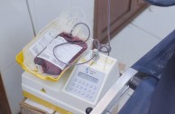 Perú participated in the 5th International Blood Drive Marathon, Life is in the Blood