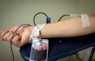 Perú participó en la 5ta. Maratón Internacional de Donación de Sangre  en la Sangre está la Vida