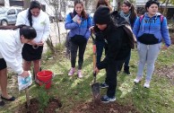 En Argentina: Proyecto “Hijos de la Madre Tierra” impulsa iniciativas en la escuela Manuel Belgrano para defender y preservar la casa mayor