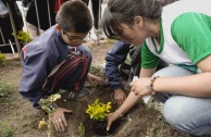 Peace Integration Summit - November 3rd to the 7th, 2015 in Chile