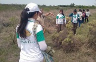 Mother Earth Workshops in Argentina