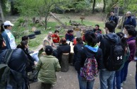 Mother Earth Workshops in Argentina