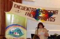 Argentina promueve el reconocimiento de la Madre Tierra como un ser vivo