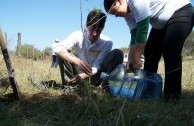 Con la siembra de plantas autóctonas en ciudad Unquillo la EMAP dio un aporte importante para la preservación de las especies en Córdoba, Argentina.