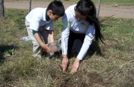 Con la siembra de plantas autóctonas en ciudad Unquillo la EMAP dio un aporte importante para la preservación de las especies en Córdoba, Argentina.