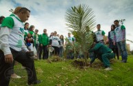 Marathon for the peace of Mother Earth at the "Parque de los Novios" - Colombia