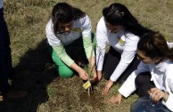 Con la siembra de plantas autóctonas en ciudad Unquillo la EMAP dio un aporte importante para la preservación de las especies en Córdoba, Argentina.