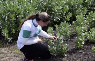 Argentina promueve Proyecto “Hijos de la Madre Tierra” en las provincias  de Olavarría y Córdoba con múltiples actividades