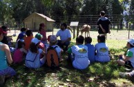 Marathon with the Guardians of Mother Earth - Argentina