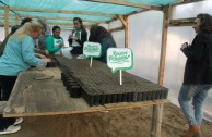 Volunteers of the GEAP during the closing of the "Tree Week" campaign, Argentina