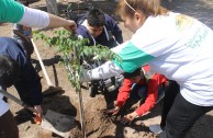 Presentación del Proyecto "Hijos de la Madre Tierra" en la escuela "República de Chile", Mendoza (Argentina)