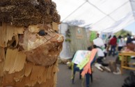 Siete ciudades de Guatemala celebraron el Día Mundial de la Educación Ambiental