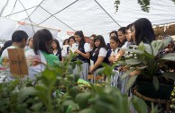 Siete ciudades de Guatemala celebraron el Día Mundial de la Educación Ambiental