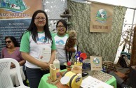 Siete ciudades de Guatemala celebraron el Día Mundial de la Educación Ambiental