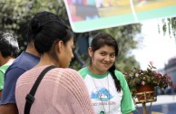 Siete ciudades de Guatemala celebraron el Día Mundial de la Educación Ambiental