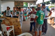 Brazil celebrates the World Environmental Education Day 