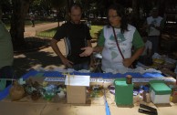 Brazil celebrates the World Environmental Education Day 