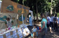 Brazil celebrates the World Environmental Education Day 