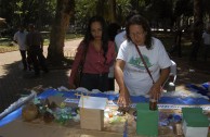 Brazil celebrates the World Environmental Education Day 