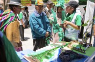 Bolivia celebrates the World Environmental Education Day