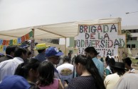 Perú celebra el Día Mundial de la Educación Ambiental