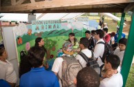 Día Internacional de la Educación Ambiental Puerto Rico