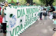 Argentina presente en el día mundial de la vida silvestre