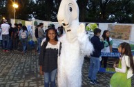 Argentina presente en el día mundial de la vida silvestre