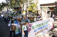 Colombia is present during World Wildlife Day