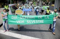 Colombia is present during World Wildlife Day