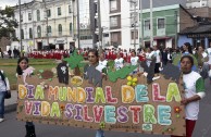 Colombia is present during World Wildlife Day