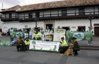 Colombia is present during World Wildlife Day