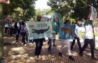  Paraguay celebra el Día Mundial de la Vida Silvestre y realiza homenaje a la flora y la fauna