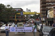  Paraguay celebra el Día Mundial de la Vida Silvestre y realiza homenaje a la flora y la fauna