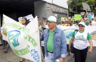 Venezuela celebrates the World Wildlife Day