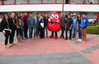 In Mexico started the 6th International Marathon "Life is in the Blood" 