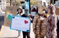 The Guardians for the Peace of Mother Earth raise their voice in Chile