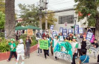 The Guardians for the Peace of Mother Earth raise their voice in Chile