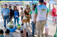 The Guardians for the Peace of Mother Earth raise their voice in Chile