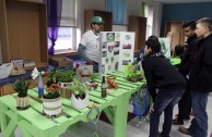 En Norteamérica más de 5.000 estudiantes participaron en la Feria por la Paz de la Madre Tierra.