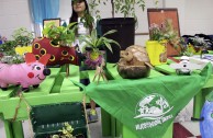 En Norteamérica más de 5.000 estudiantes participaron en la Feria por la Paz de la Madre Tierra.