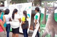 Environmental Parade in honor of the World Wildlife Day at the Central Plaza of Tegucigalpa - Honduras