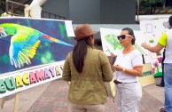 Parada Ambiental por el Día Mundial de la Vida Silvestre en la Plaza Central de Tegucigalpa - Honduras