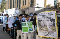 Bolivia joins the celebration of World Wildlife Day