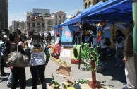 Bolivia joins the celebration of World Wildlife Day